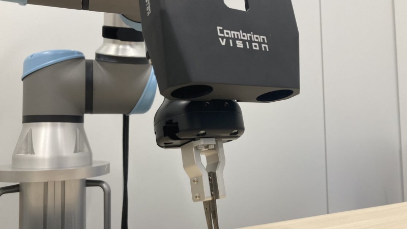 Cambrian Vision System